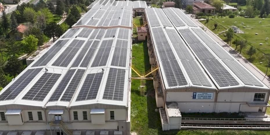 854 ton karbon salınımı önlenerek 34 bin ağaç korundu