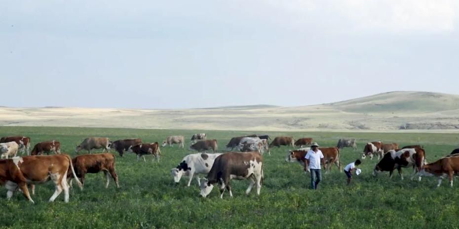 Kars Ani'de meralar yasaklandı mı? Açıklama geldi
