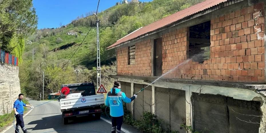 Kahverengi kokarcaya karşı Trabzon’da seferberlik