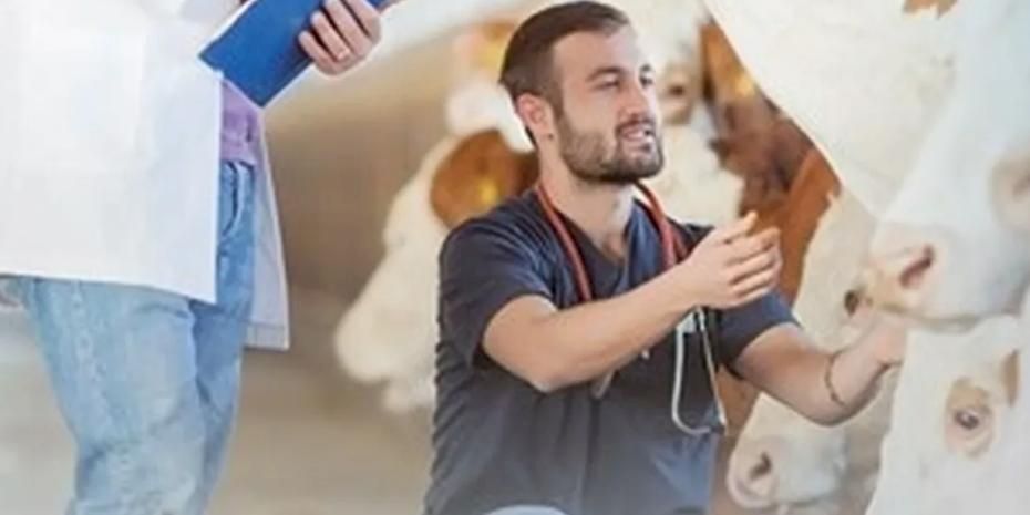 Denizli Büyükşehir’den üreticiye sahada destek