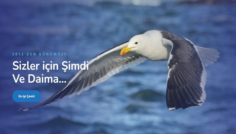 Yunanca Alfabe - Okeanos Tercüme