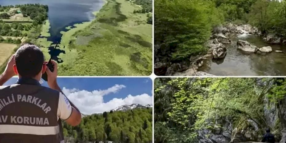 Doğa Koruma ve Milli Parklar Uzmanlığı için 'tez' zorunluluğu