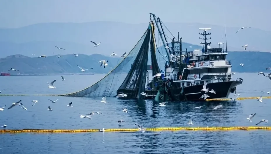 Denizlerde av yasağı 15 Nisan’da başlıyor