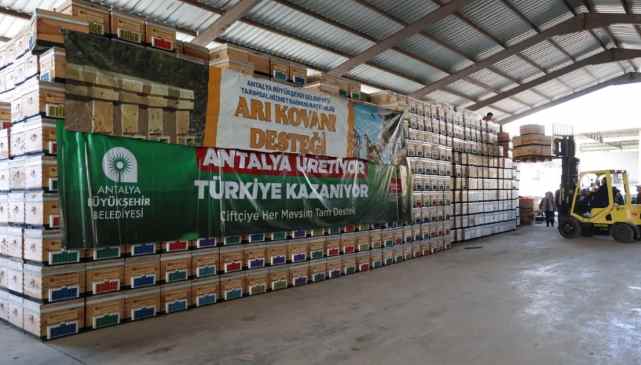 Antalya Büyükşehir’den arıcılara kovan desteği
