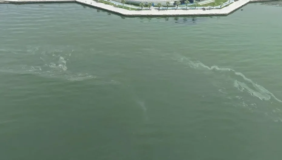 İzmir Körfezi’nde kirlilikte 10'uncu tespit