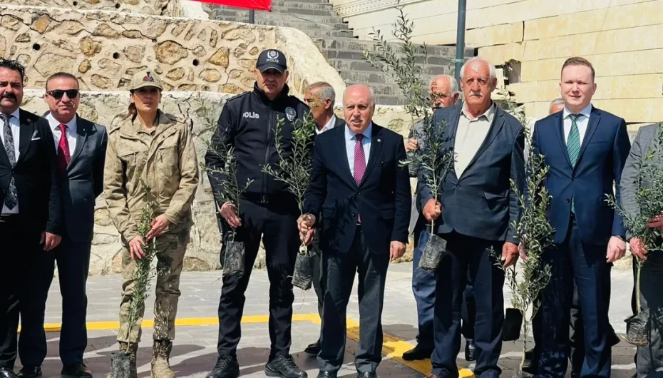 Mardin Yeşilli’de tarihi rekor! 102 bin meyveli fidan dağıtıldı