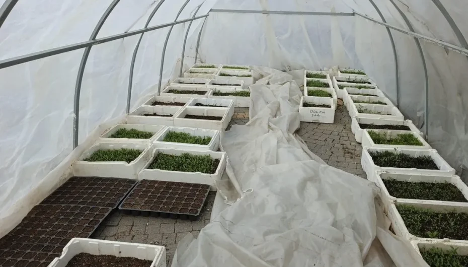 Kayseri Büyükşehir'in Doğal Ürünler Pazarı'nda geri sayım