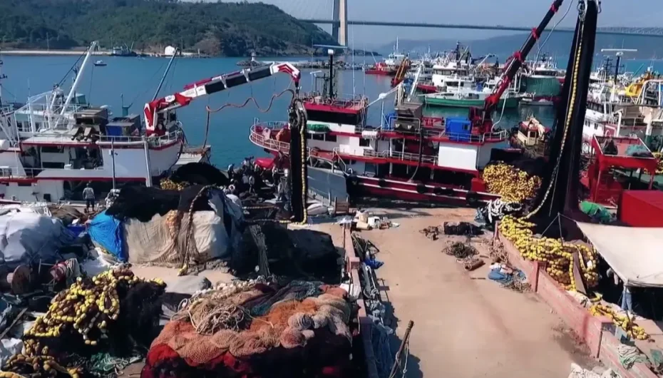 Hamside rekor sezon... 245 bin ton avcılıkla bereketli kapanış