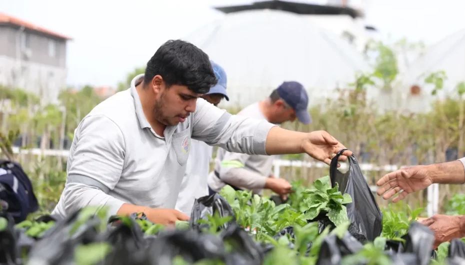 Muğla Dalaman’da üreticilere fide desteği sağlandı