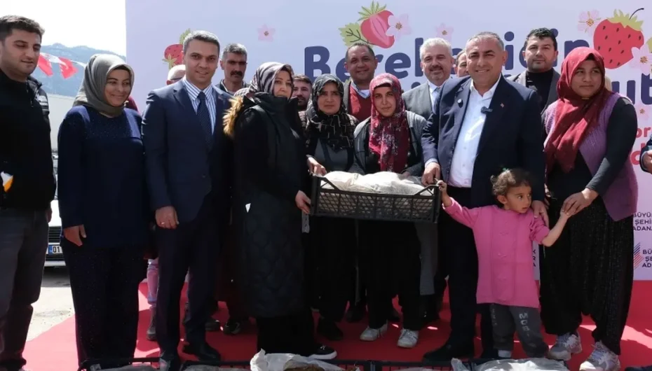 Adana Büyükşehir’den Pozantı’ya 900 bin çilek fidesi desteği