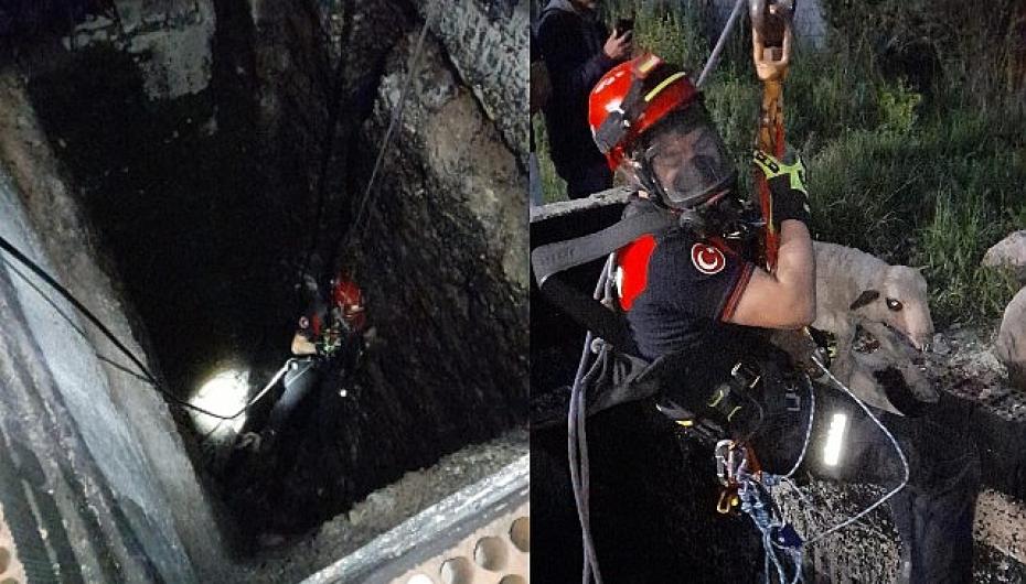 Kuyuya düşen kuzuya itfaiyeden nefes kesen kurtarma
