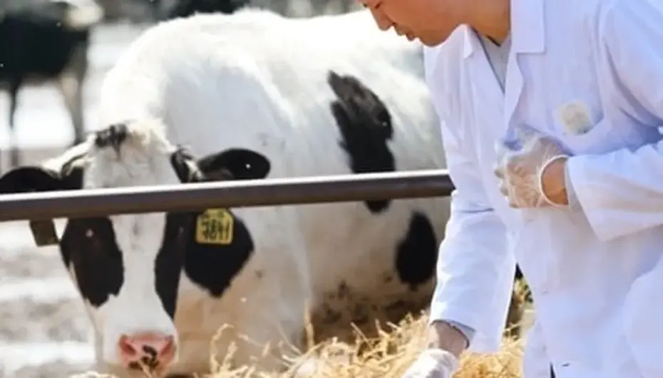 Tarımda maliyet baskısı sürüyor... Girdi fiyatları veteriner harcamaları yine zirvede