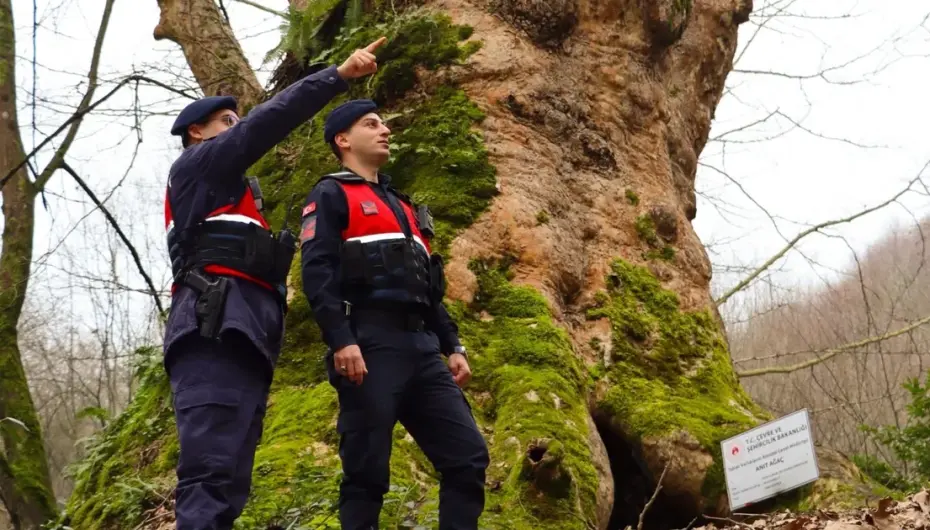 Yalova’da Jandarma turizm bölgelerinde güvenliği artırdı