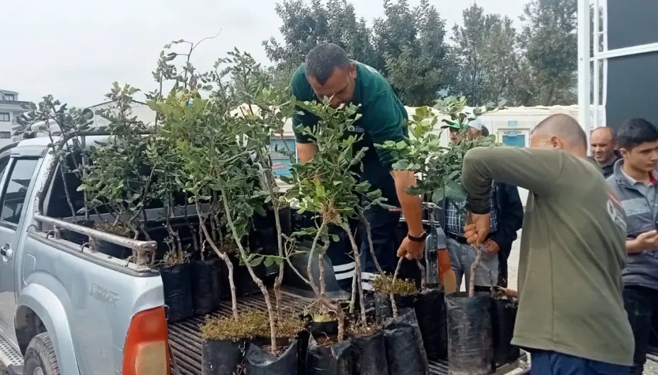 Alanya’nın coğrafi işaretli keçiboynuzuna destek