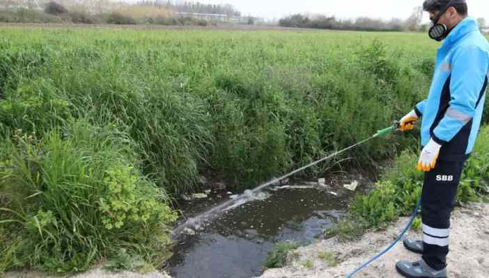 Sakarya ekipler zararlı vektörle mücadeleyi sürdürüyor