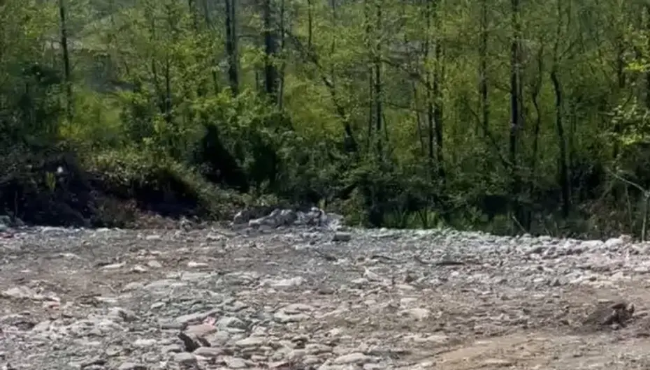 Rize’de vahşi depolamaya milyonluk ceza! Çevre'den suç duyurusu