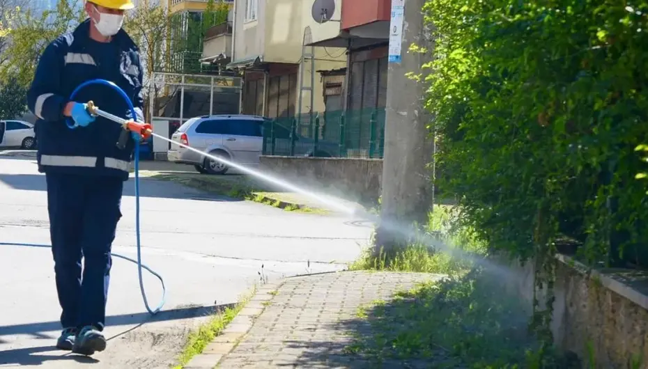 Bu ili kokarcalar istila etti