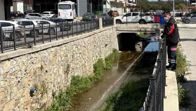 Haşereye karşı larvasit çözüm