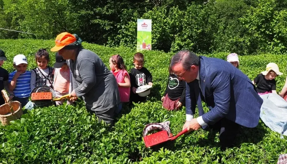Çay İşletmeleri'ne personel atamalarında 40 yaş şartı aranmayacak