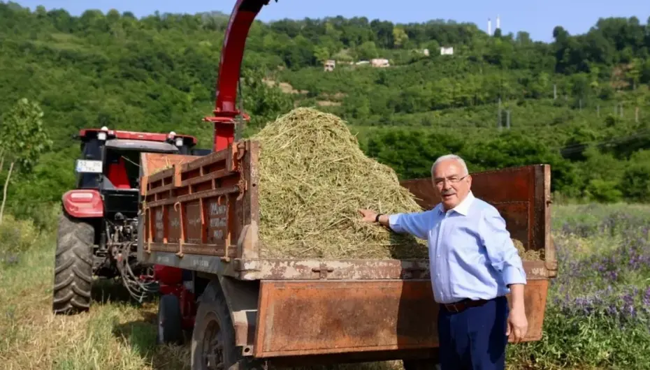 Ordu’da atıl arazi tarıma kazandırıldı