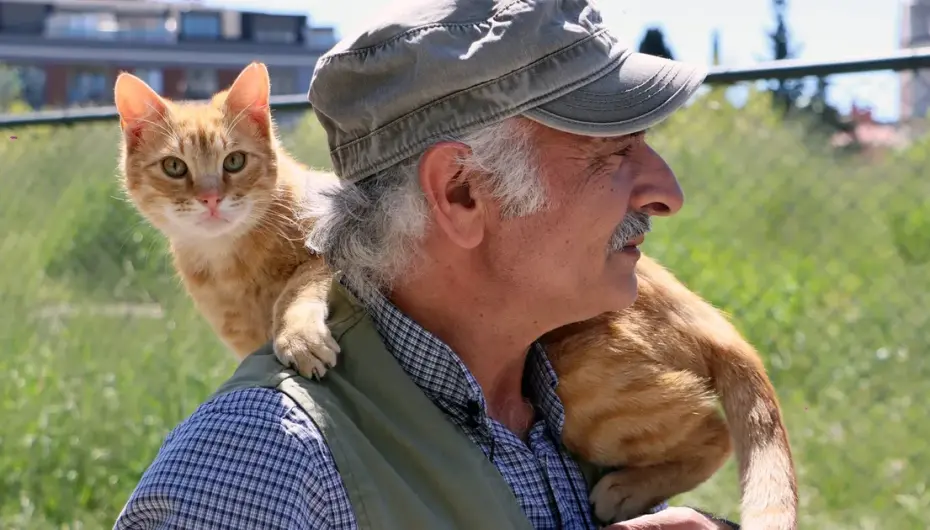 İstanbul Maltepe’de “can dostlar” güvende