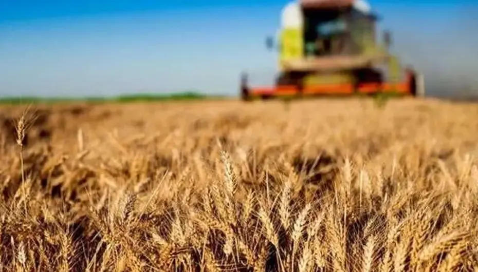 Kırsal kalkınma yatırımlarında 10 milyar TL'lik destek başladı