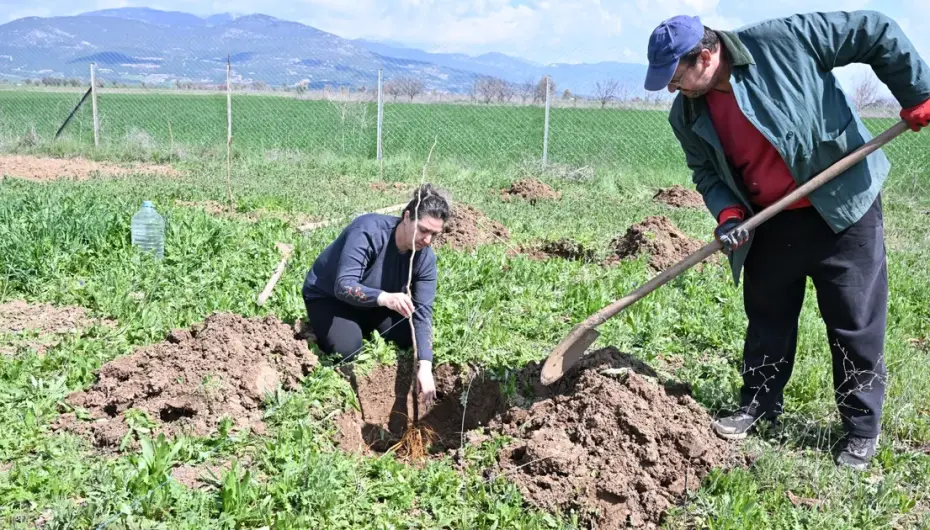 Antalya Korkuteli ilk kez ipekböcekçiliği ile tanışıyor