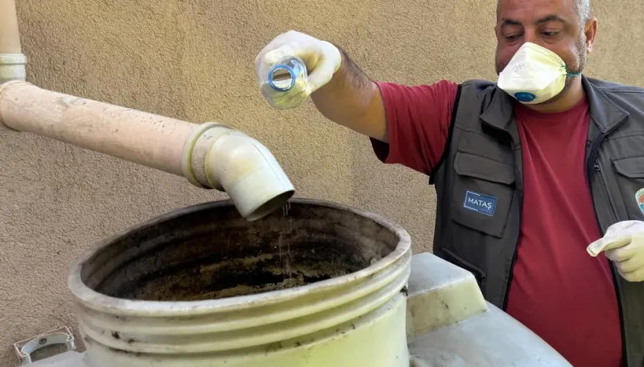 İstanbul Maltepe’de sivrisinek mücadelesi erken başladı