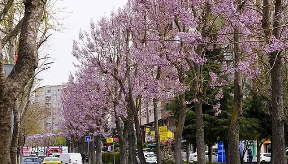 İstanbul Beylikdüzü'nde bakım ve yaz hazırlığı bir arada