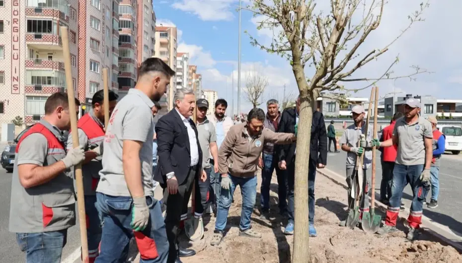 Kayseri Melikgazi'den yemyeşil atılım