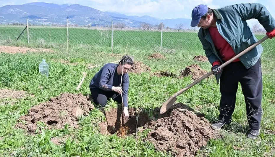 Antalya Büyükşehir ipek böceği yetiştiriciliğini yaygınlaştırıyor