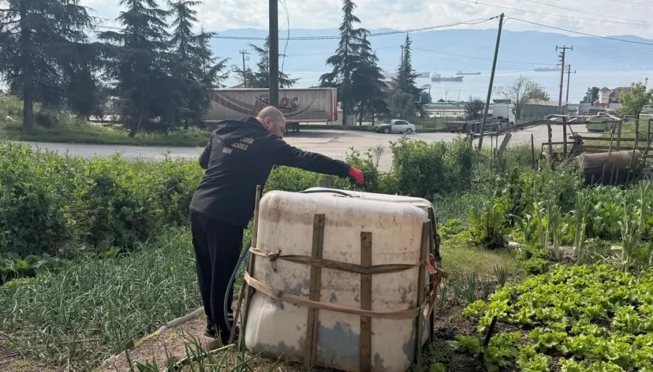 Kocaeli’de sivrisinek ve karasinekle yoğun mücadele