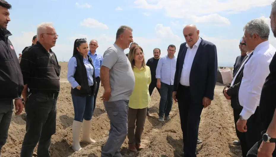 Konya’da patates atağı... İthal tohum dönemi sona eriyor