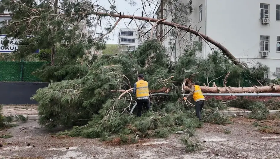 Gaziantep ve Şanlıurfa’ya 150 milyon TL afet desteği!