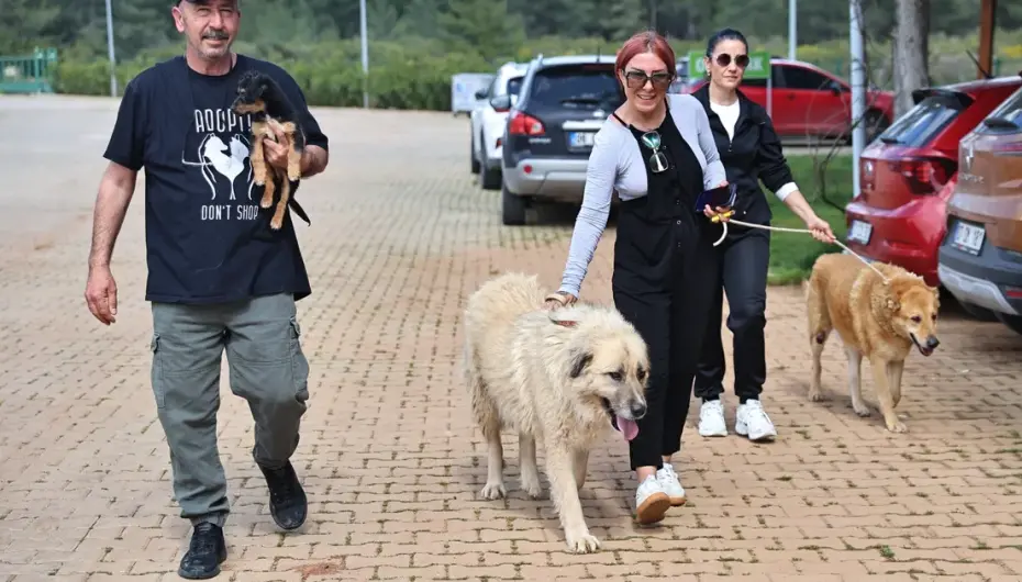 Antalya'da can dostlar sıcak yuvalarına kavuşuyor
