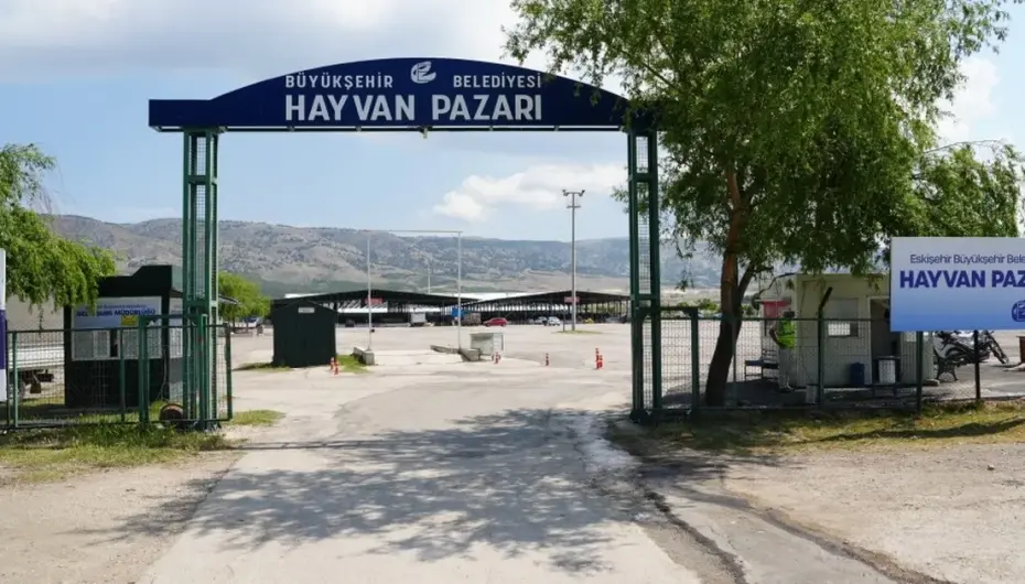 Eskişehir’de Hayvan Pazarı Kurban Bayramı için hazırlanıyor