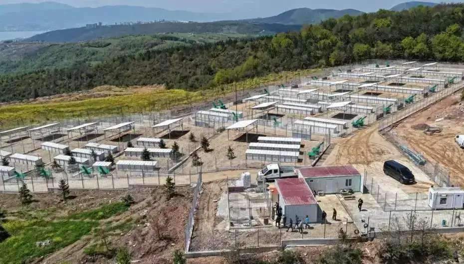 Kocaeli’nde sahipsiz köpeklere yeni yuva