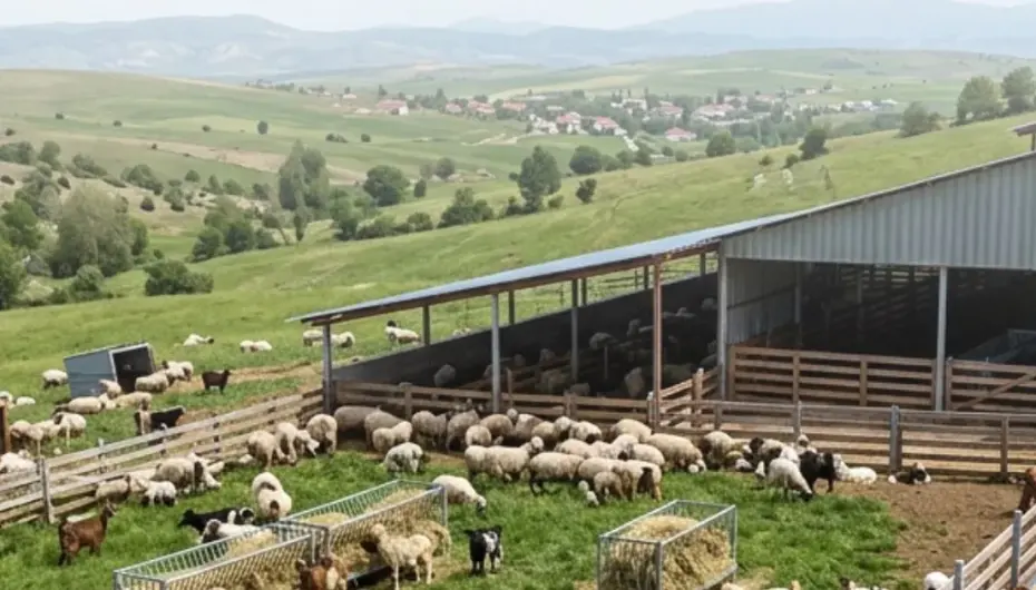 Çiftçilere 5,48 milyar TL tarımsal destek ödemeler hesaplarda