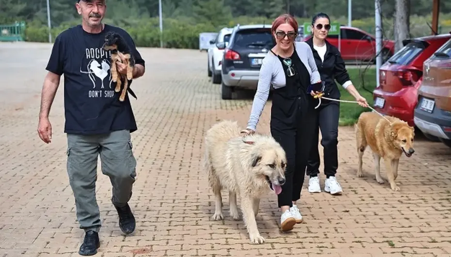 Antalya Büyükşehir Bakımevi’nde can dostlar sıcak yuvalarına kavuşuyor