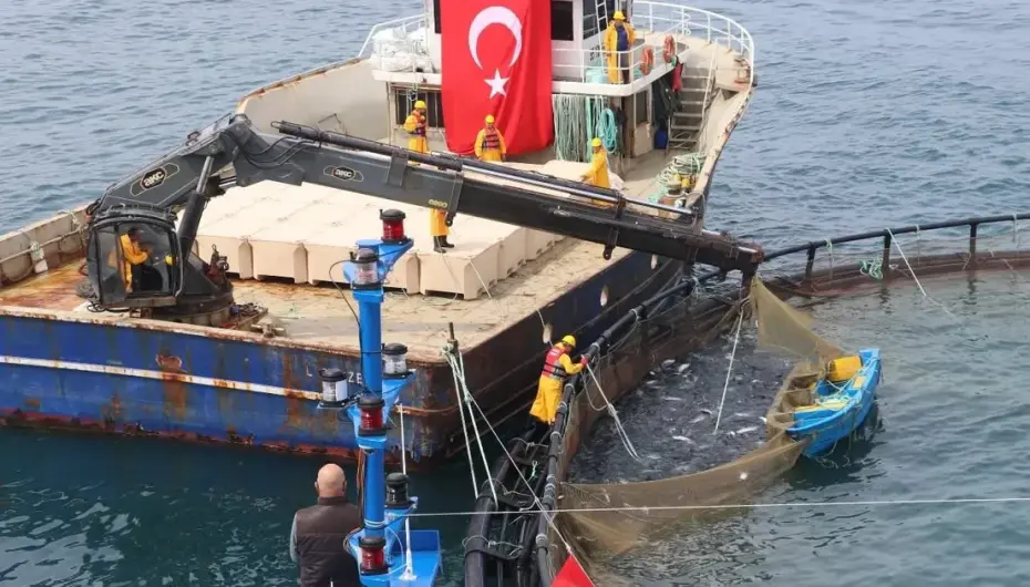 Türk somonu ihracatta rekor yolunda... Üretim 75 bin tona ulaştı