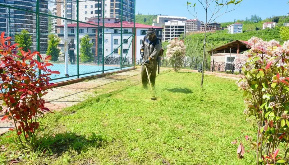 Giresun'da yaz mesaisine hız verildi
