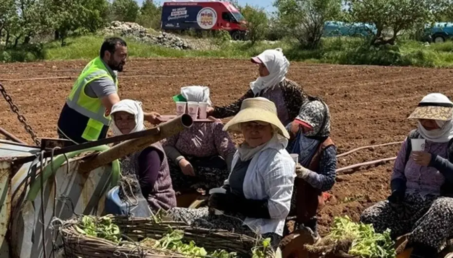 Denizli’de tarlalara ikram molası