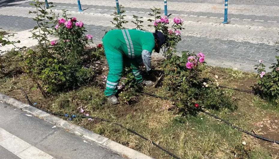 Muğla Milas'ta bayram öncesi bakım