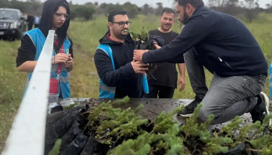 İzmir Aliağa’da yangınların yarası bin fıstık çamıyla sarıldı