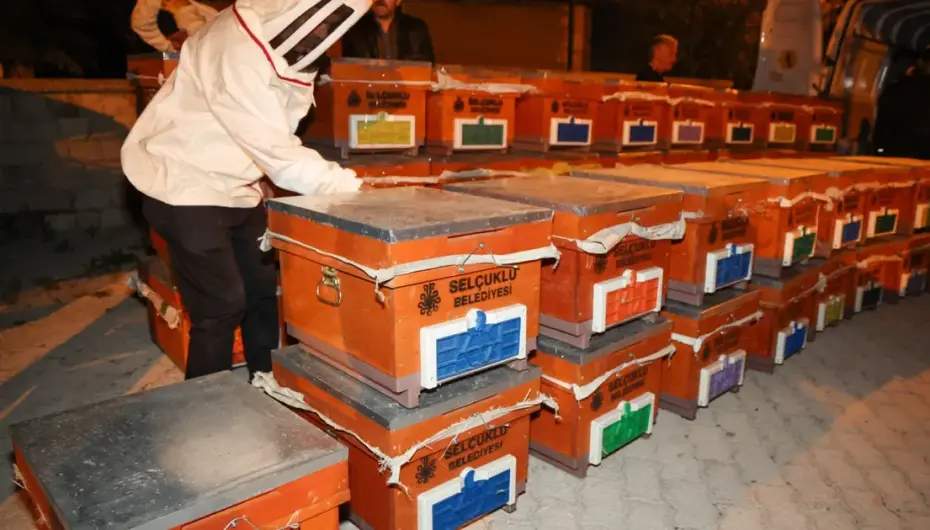 Konya Selçuklu'da arılı kovan desteği sürüyor