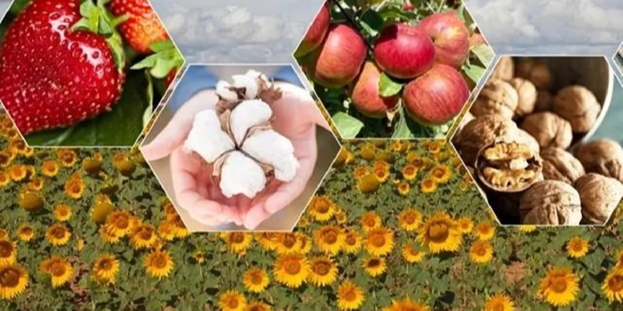 2026’da bitkisel üretimde büyük artış bekleniyor