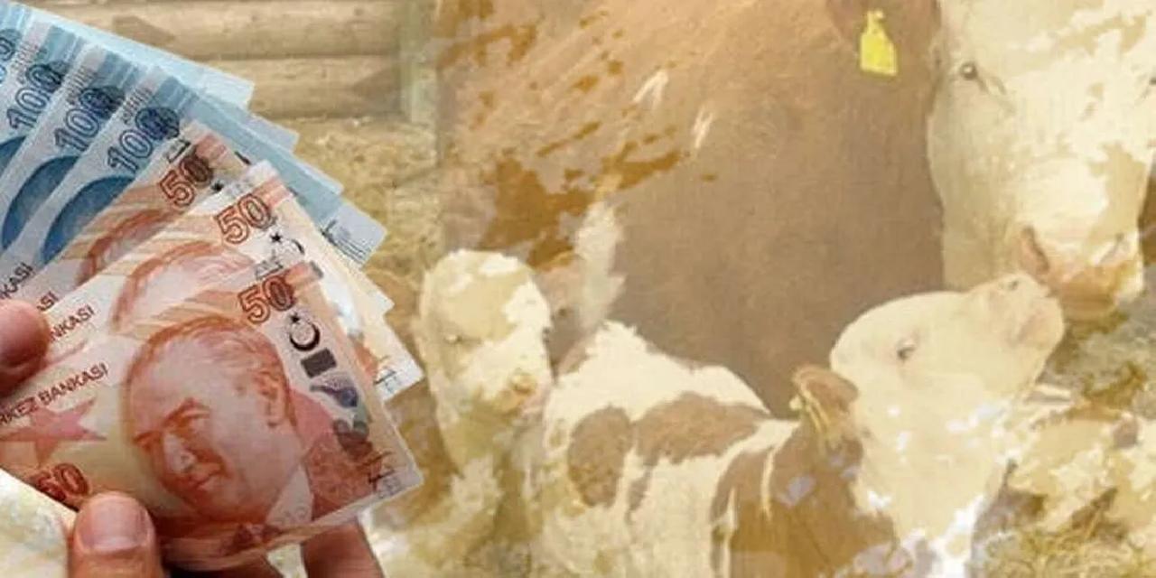 6,4 milyar TL’lik destek çiftçilerin hesaplarına aktarıldı