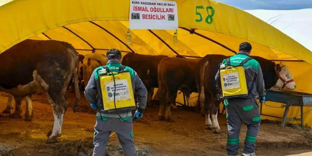 Başkent'te kurban alanlarına sıkı denetim