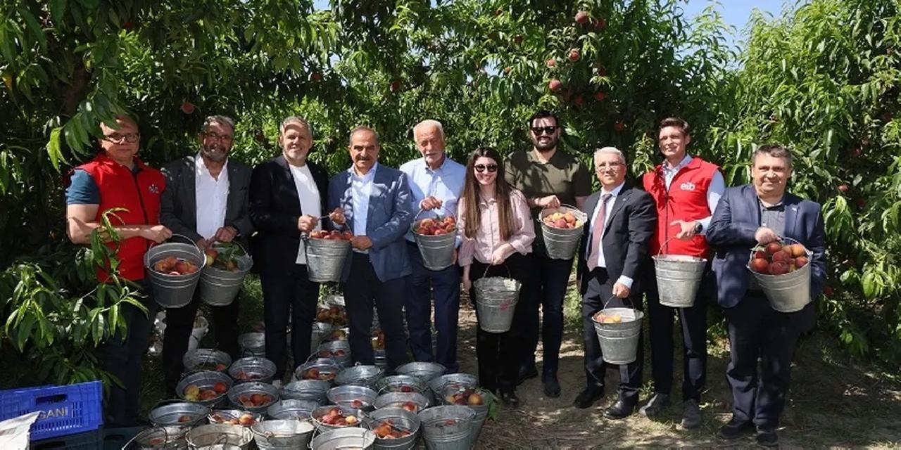 Şeftali ve nektarinde 250 milyon dolar ihracat hedefi