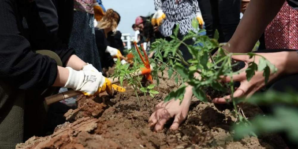 Kadın Kent Bostanı’nda fideler toprakla buluştu